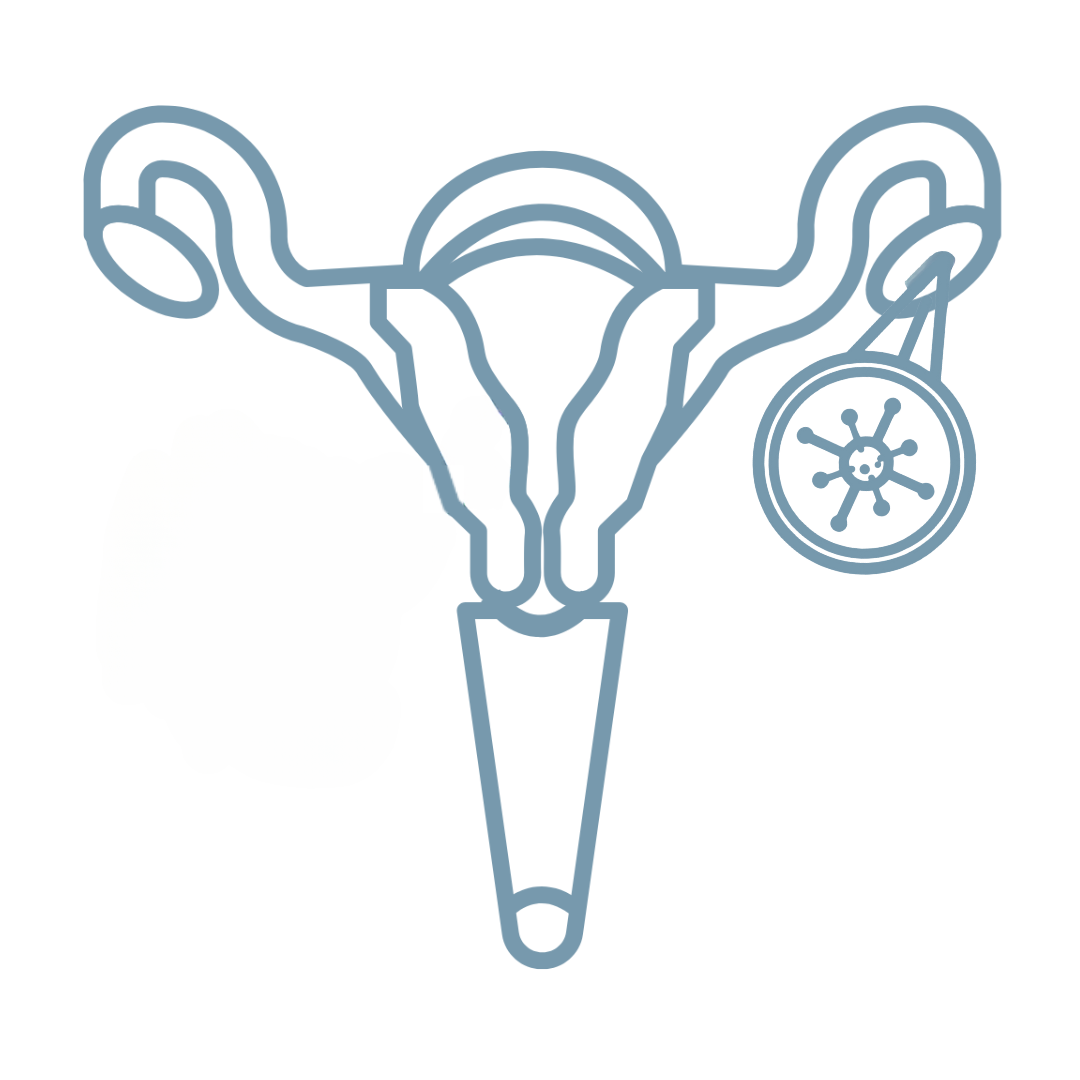 Cáncer de ovario / trompa Icono Cáncer de ovario / trompa