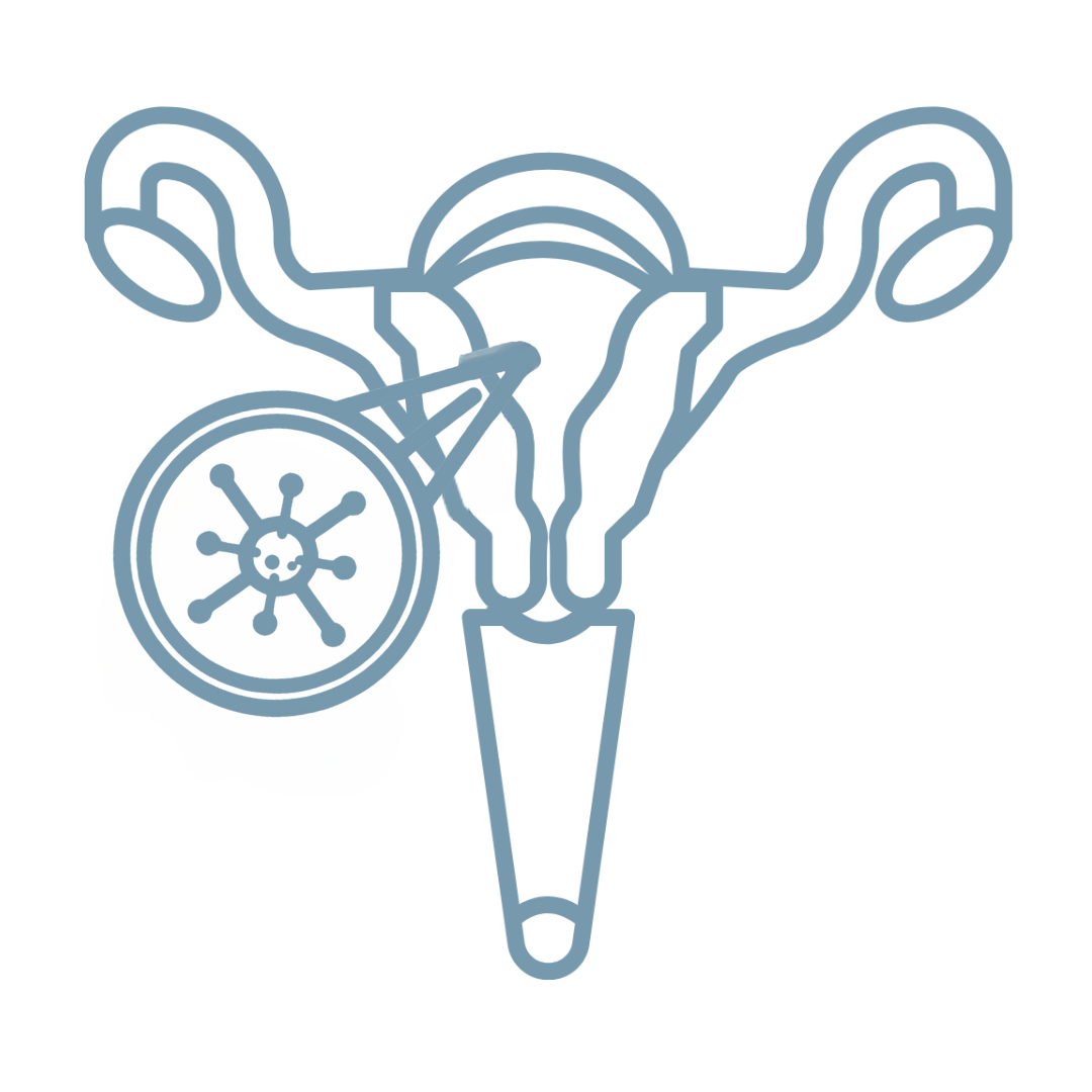 Cáncer de útero Icono para cáncer de útero
