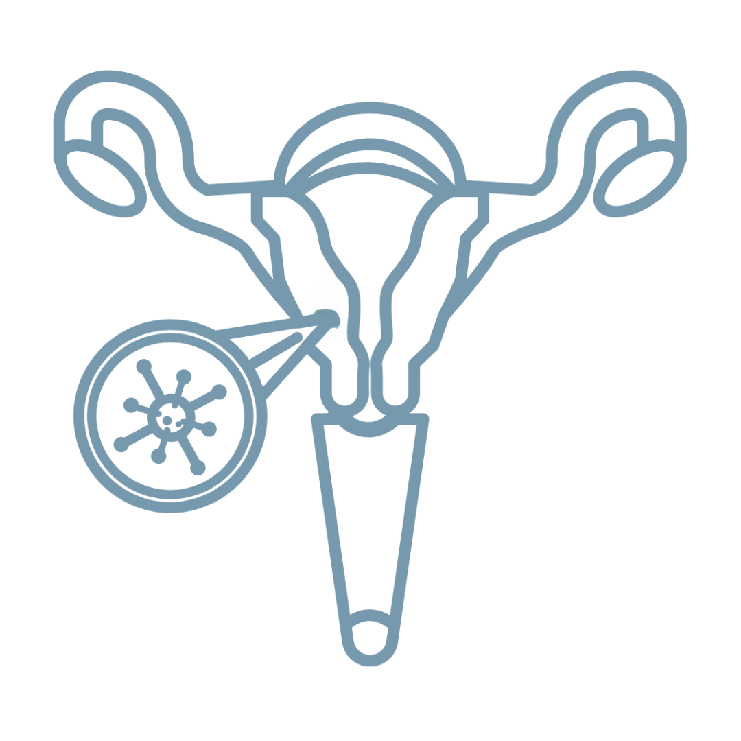 Cáncer de cuello uterino Icono de cáncer de cuello uterino