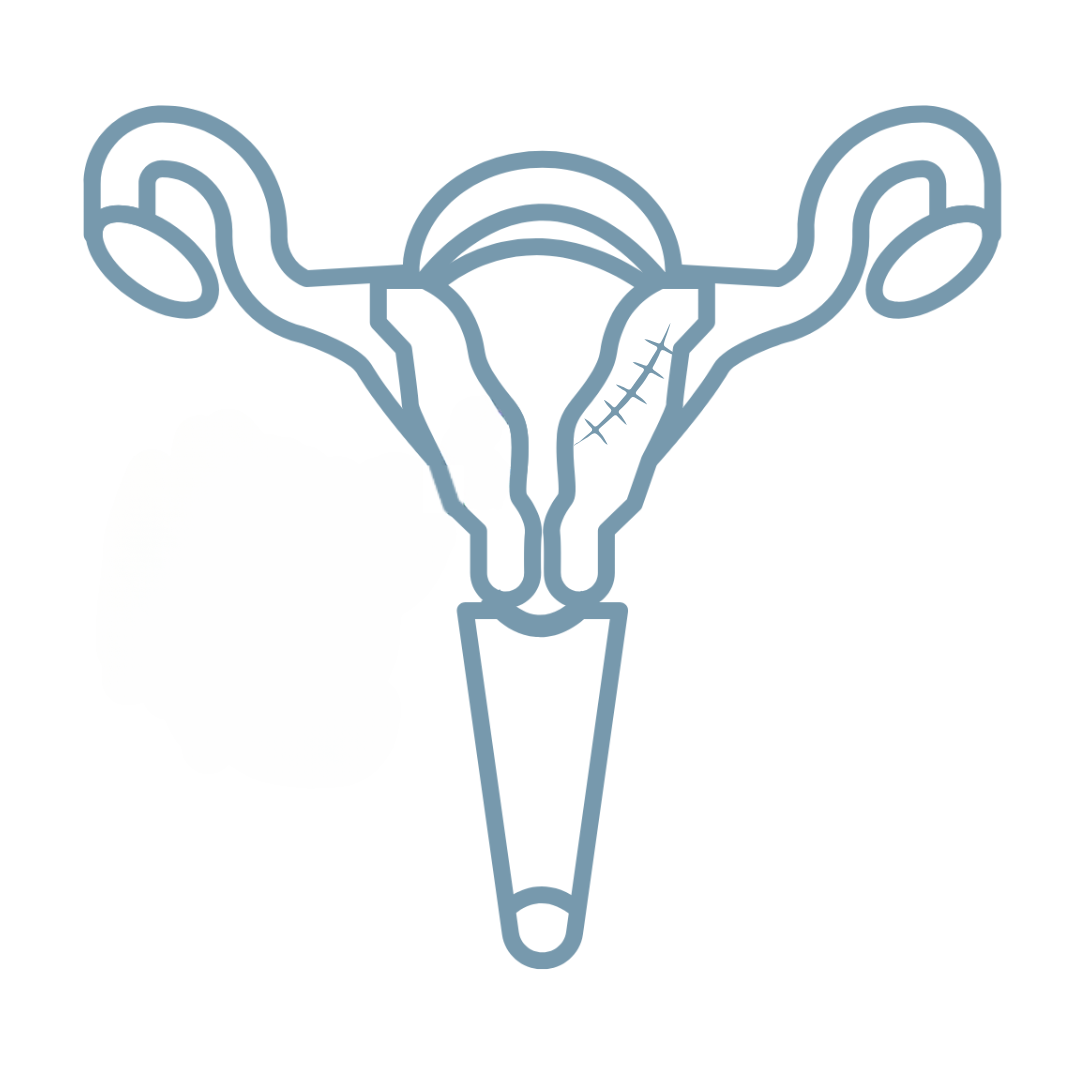 adherencias Icono para ADHERENCIAS